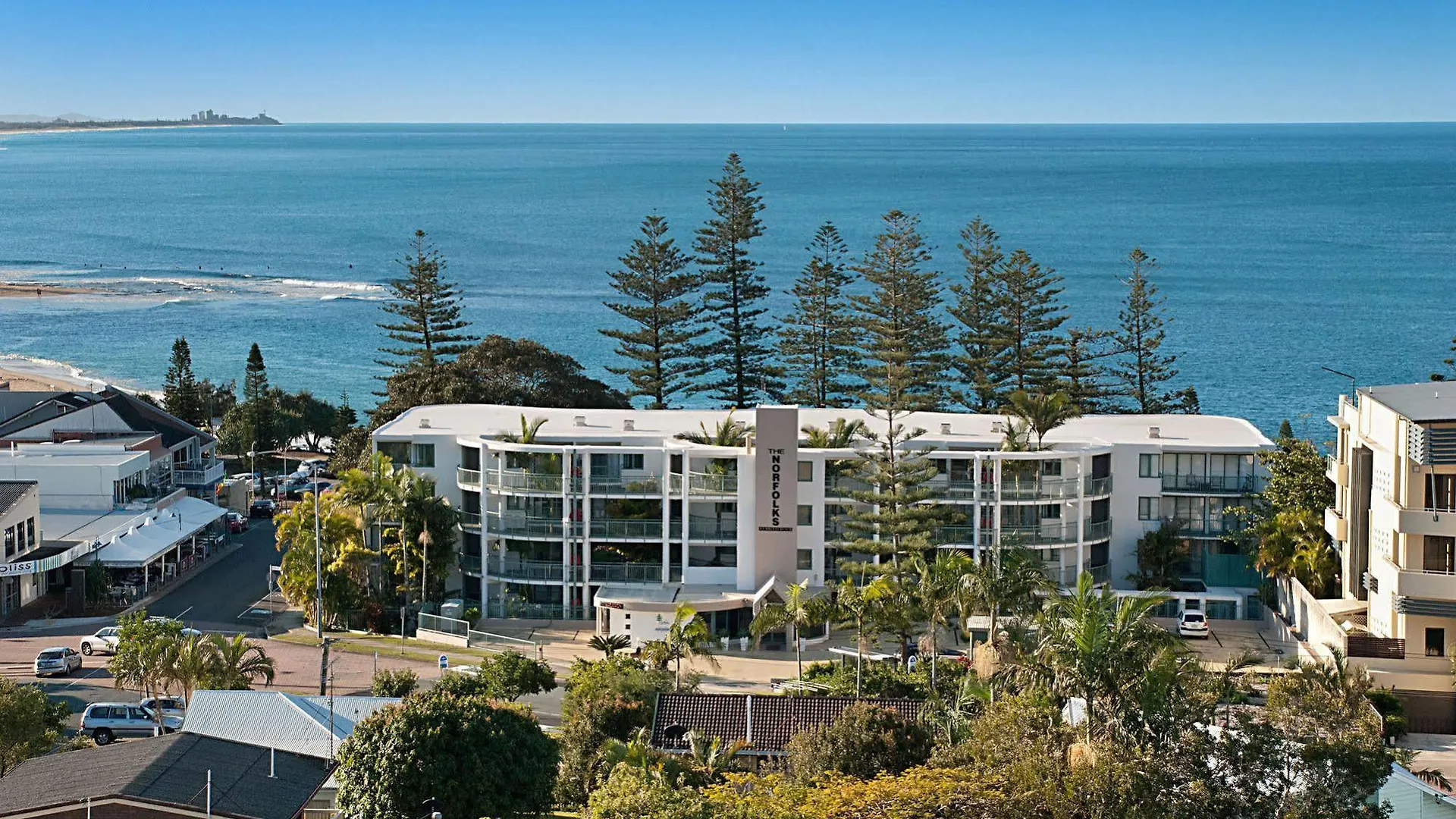 The Norfolks On Moffat Beach Caloundra