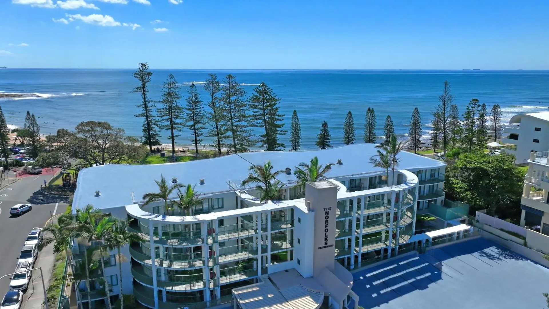 The Norfolks On Moffat Beach Caloundra Australia