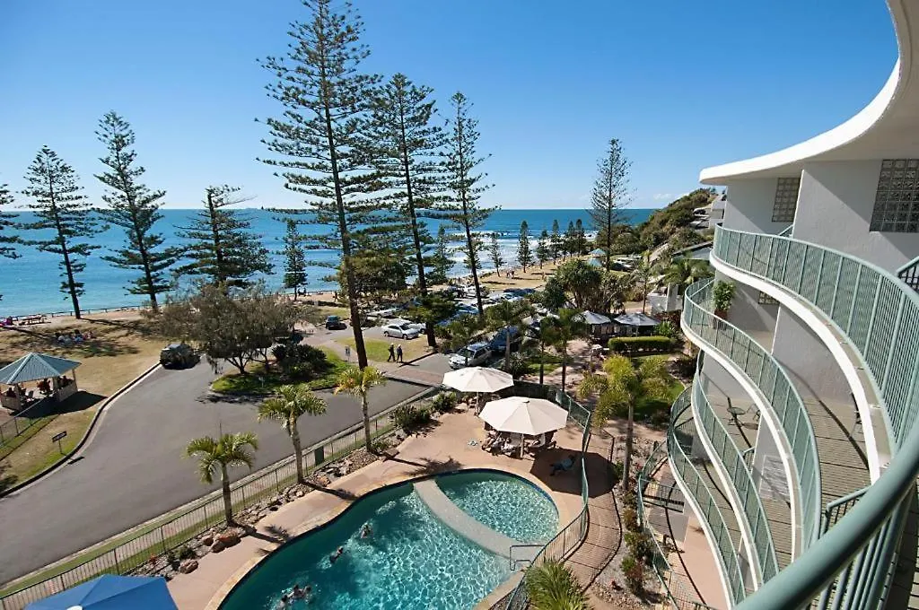The Norfolks On Moffat Beach Caloundra Australia