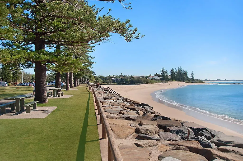 The Norfolks On Moffat Beach Caloundra Australia